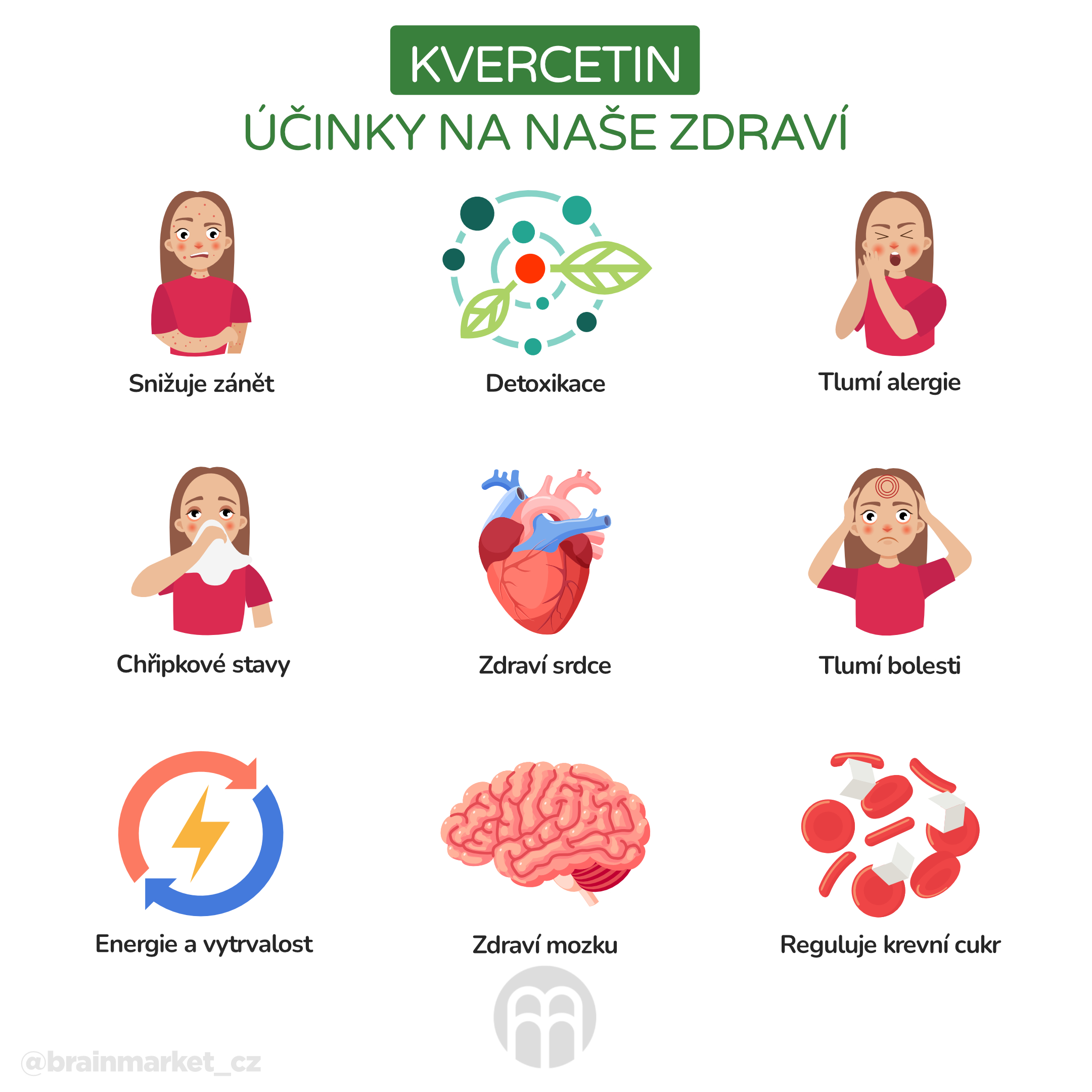 Kvercetin účinky na naše zdraví_infografika_cz